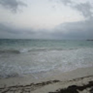 Meet your Posher, Raquel